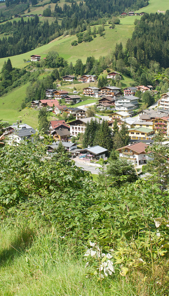 Zomer | wandelen in Viehhofen | © viehhofen.at