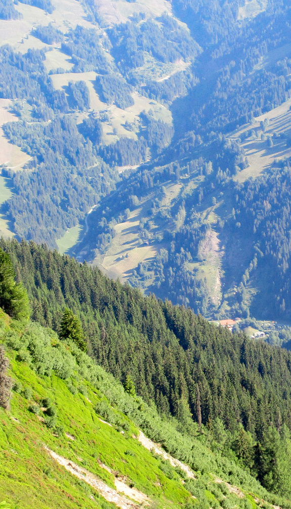 Berglandschaft | © viehhofen.at
