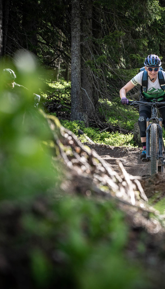 MTB-Tour im Wald