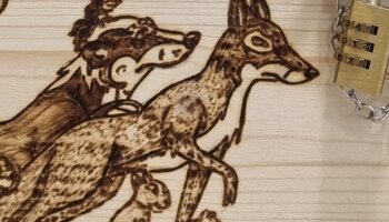 Als die Tiere den Wald verließen Buch | © viehhofen
