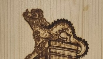Das Labyrinth der träumenden Bücher Buch | © viehhofen
