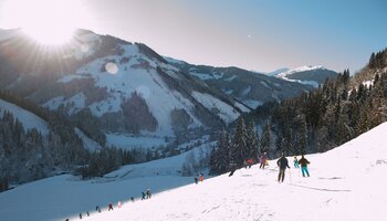 Skifahrer mit Bergausblick | © viehhofen.at
