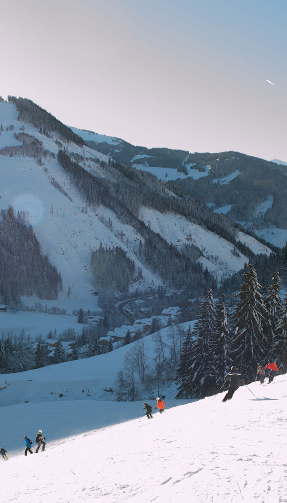 Skifahrer mit Bergausblick | © viehhofen.at