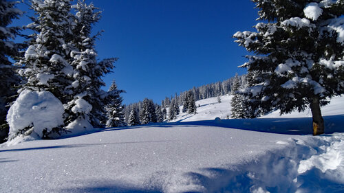 Winterlandschaft Viehhofen | © viehhofen.at