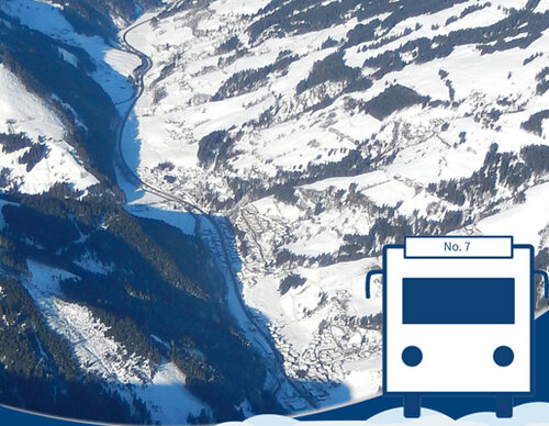 Skibus Viehhofen