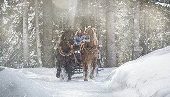 Winter Pferdeschlittenfahrt | © Mirja Geh
